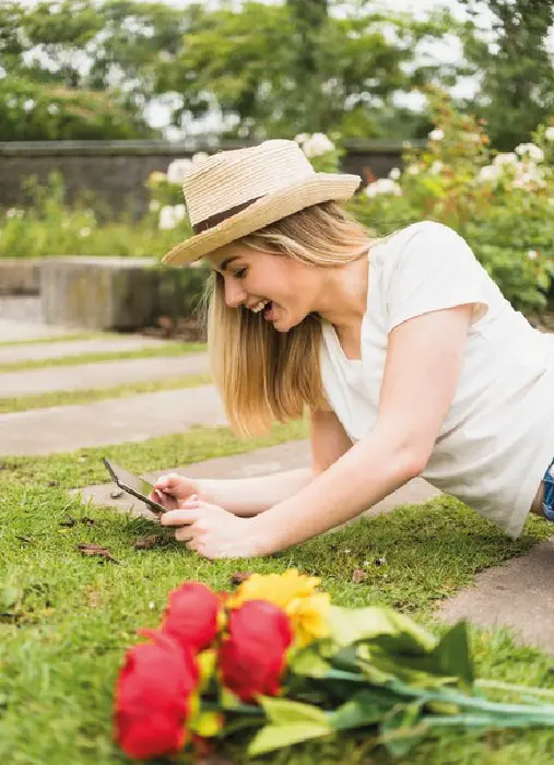 galeria maira mesa de trabajo 1 copia